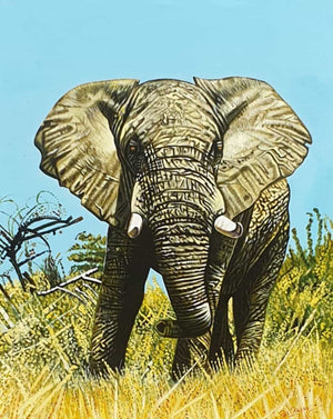 African painting of an elephant for sale online