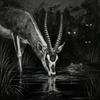 Black and white painting of an antelope drinking water from a pond with grass and foliage.
