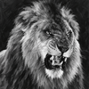 Black and white painted portrait of a roaring lion filling the frame against a dark textured background.