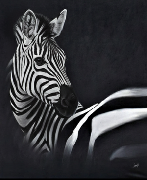 Hidden In Plain Sight