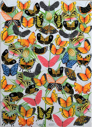 butterflies 